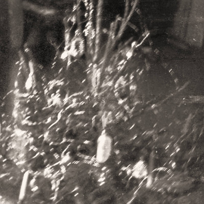 naarid-1