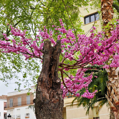hispaania-gibraltar-21