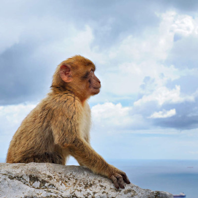 hispaania-gibraltar-47