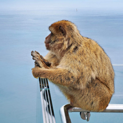 hispaania-gibraltar-48