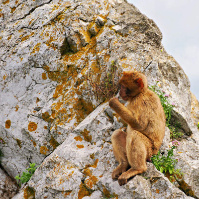 hispaania-gibraltar-49