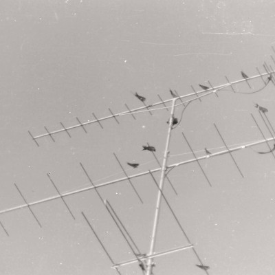 zenit-et-6