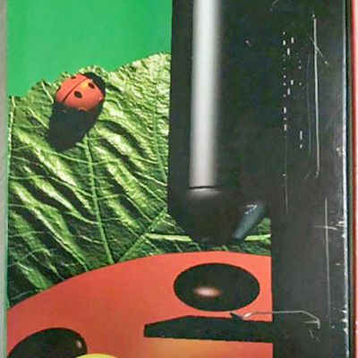 naturalist-5