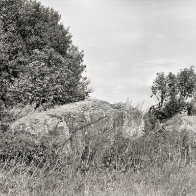 moskva-4-7