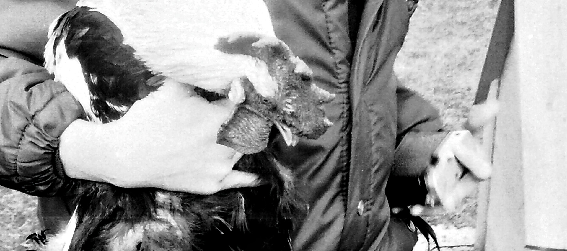 Fotoaparaat Chaika II