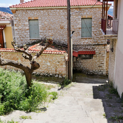kreeka-113