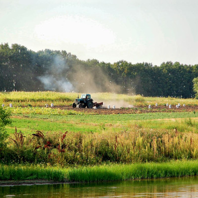 ukraina-63