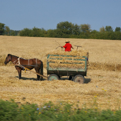 ukraina-66