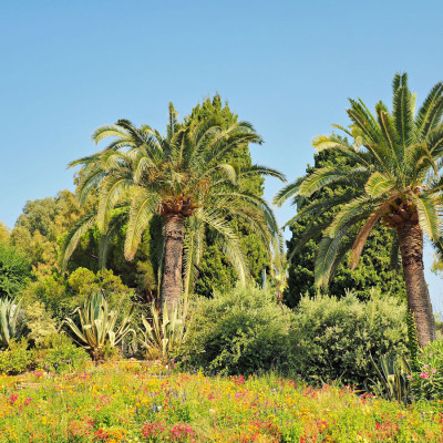 prantsuse-riviera-139