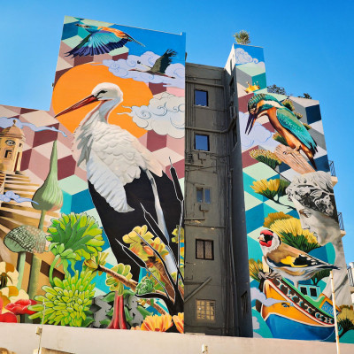 malta-19