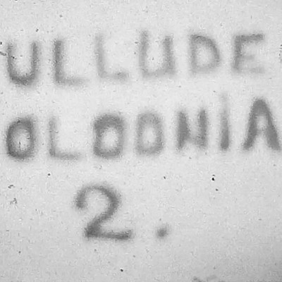 hullude-koloonia-7