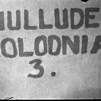hullude-koloonia-16