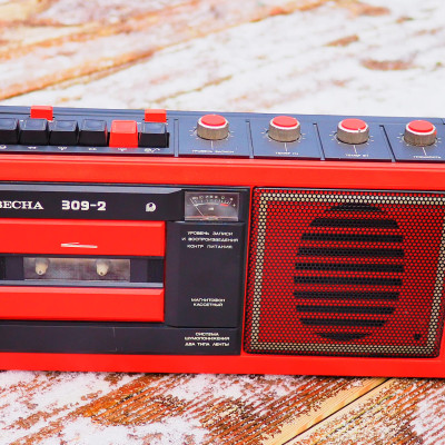 vesna-309-2-0