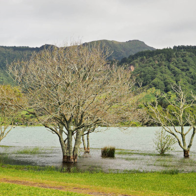 portugal-assoorid-46