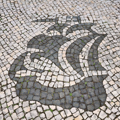 portugal-assoorid-118