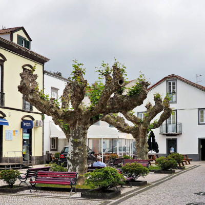 portugal-assoorid-119